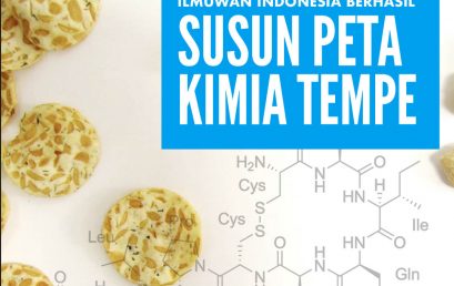 Ilmuwan Indonesia Susun Peta Kimia Tempe