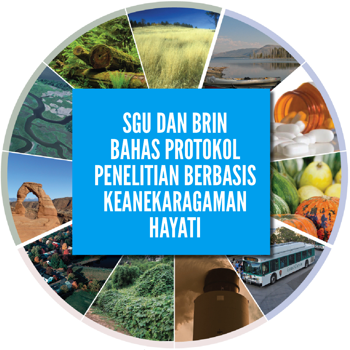 SGU dan BRIN Bahas Protokol Penelitian Berbasis Keanekaragaman Hayati