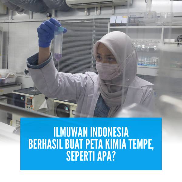 Ilmuwan Indonesia Berhasil Buat Peta Kimia Tempe, Seperti Apa?